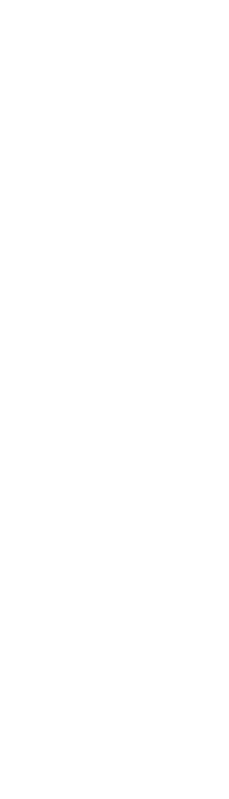 King vector